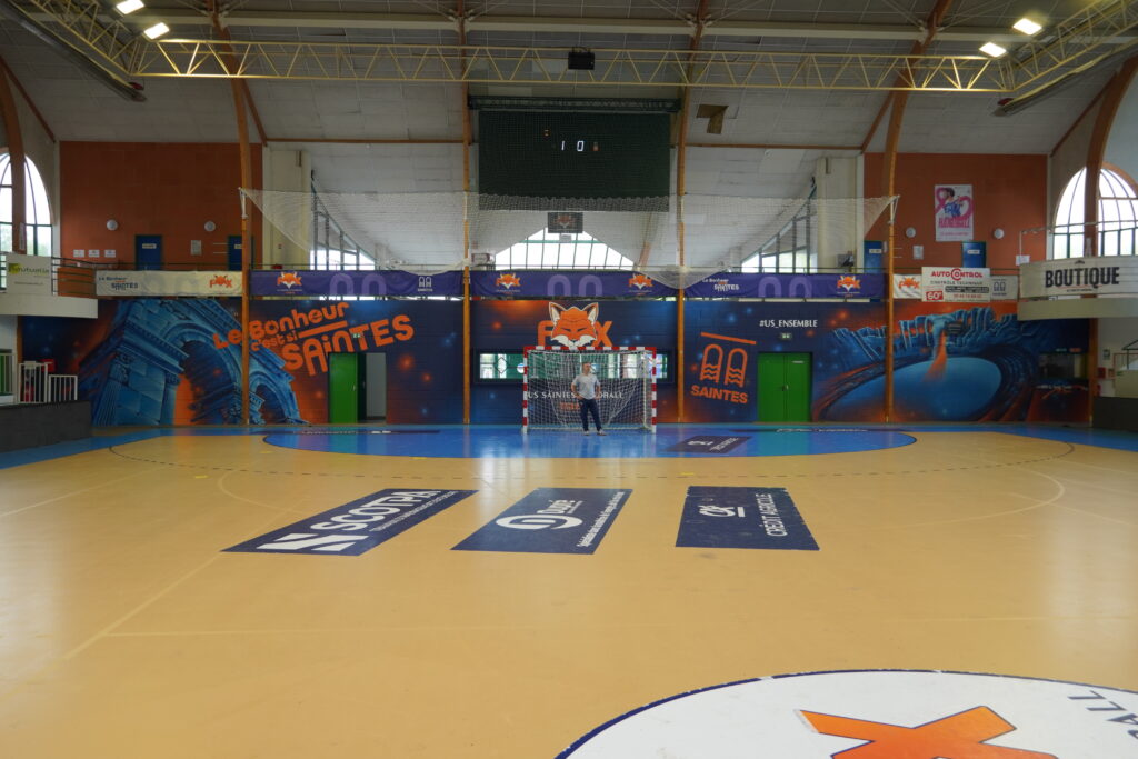 Fresque_Fox_Gymnase_Grand_Coudret_Saintes